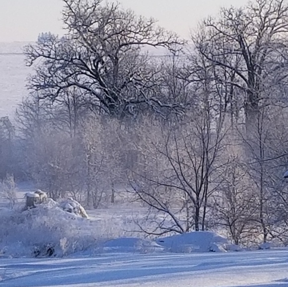 Meet your Posher, Hairby - Picture 1 of 1